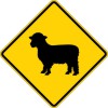 W11-17 Large Animal-Sheep-Warning Sign