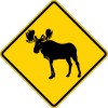 W11-21 Large Animal-Moose-Warning Sign