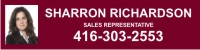 6X24 EXIT 24 GA STEEL AGENT COLOR PHOTO RIDER BURGUNDY BACKGROUND